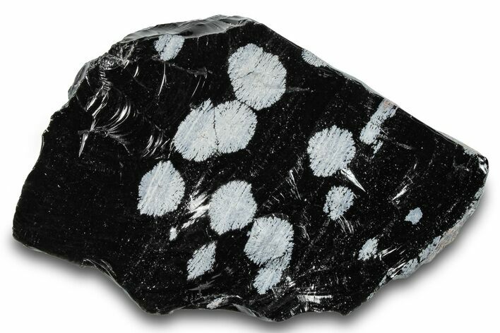 Snowflake Obsidian Section - Utah #279852